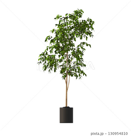 decorative flower in a pot isolate on a transparent background, 3D illustration, cg render decorative flower in a pot isolate on a transparent background, 3D illustration, cg render 130954810