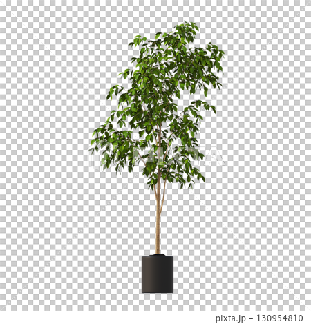decorative flower in a pot isolate on a transparent background, 3D illustration, cg render decorative flower in a pot isolate on a transparent background, 3D illustration, cg render 130954810