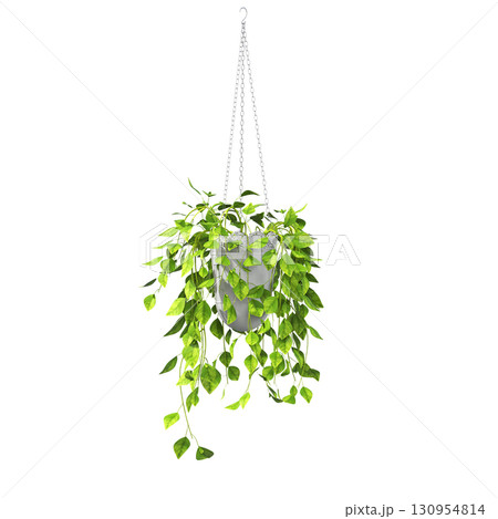 decorative flower in a pot isolate on a transparent background, 3D illustration, cg render 130954814