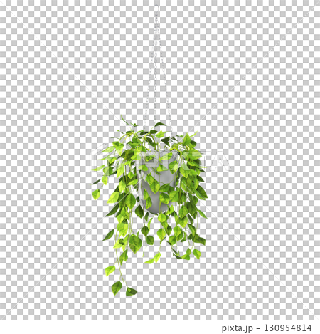 decorative flower in a pot isolate on a transparent background, 3D illustration, cg render 130954814
