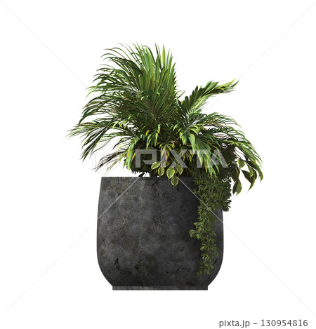 decorative flower in a pot isolate on a transparent background, 3D illustration, cg render 130954816