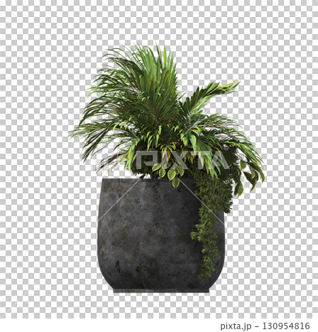 decorative flower in a pot isolate on a transparent background, 3D illustration, cg render 130954816
