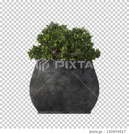decorative flower in a pot isolate on a transparent background, 3D illustration, cg render decorative flower in a pot isolate on a transparent background, 3D illustration, cg render 130954817