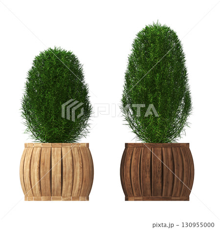 decorative flower in a pot isolate on a transparent background, 3D illustration, cg render 130955000