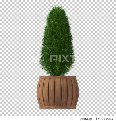 decorative flower in a pot isolate on a transparent background, 3D illustration, cg render decorative flower in a pot isolate on a transparent background, 3D illustration, cg render 130955003