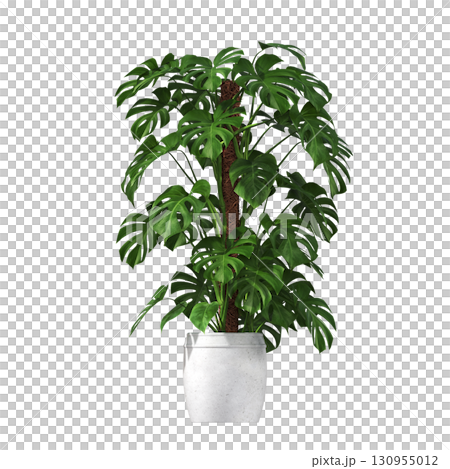 decorative flower in a pot isolate on a transparent background, 3D illustration, cg render 130955012