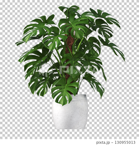 decorative flower in a pot isolate on a transparent background, 3D illustration, cg render 130955013