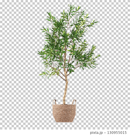 decorative flower in a pot isolate on a transparent background, 3D illustration, cg render 130955015