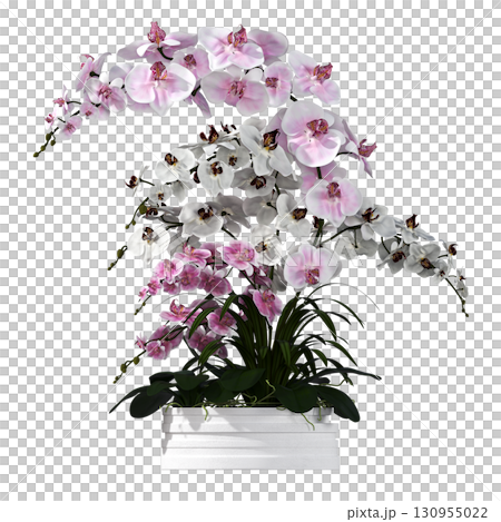 decorative flower in a pot isolate on a transparent background, 3D illustration, cg render decorative flower in a pot isolate on a transparent background, 3D illustration, cg render 130955022