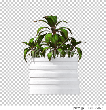 decorative flower in a pot isolate on a transparent background, 3D illustration, cg render 130955023