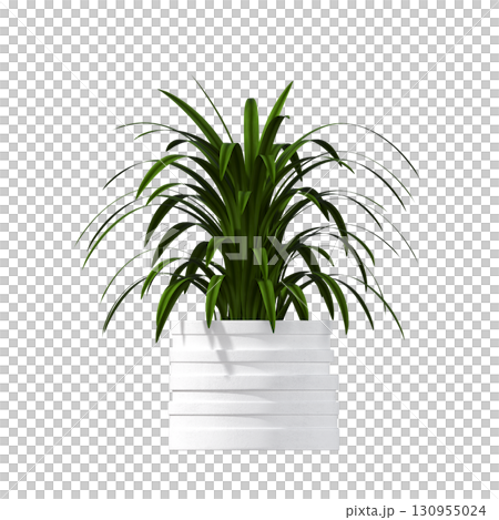 decorative flower in a pot isolate on a transparent background, 3D illustration, cg render decorative flower in a pot isolate on a transparent background, 3D illustration, cg render 130955024