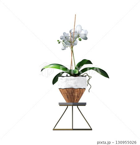 decorative flower in a pot isolate on a transparent background, 3D illustration, cg render 130955026