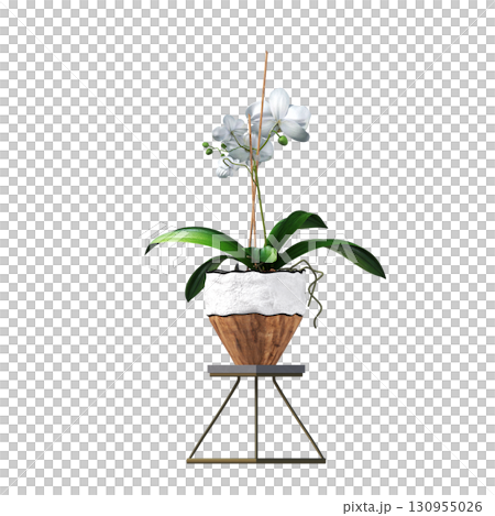 decorative flower in a pot isolate on a transparent background, 3D illustration, cg render 130955026