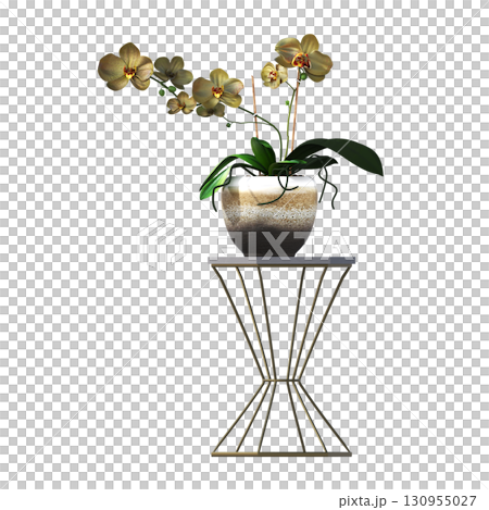decorative flower in a pot isolate on a transparent background, 3D illustration, cg render 130955027