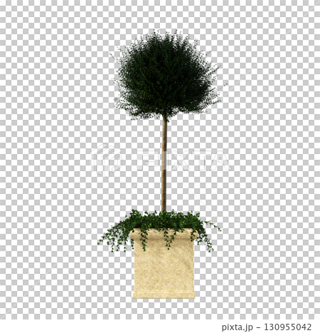 decorative flower in a pot isolate on a transparent background, 3D illustration, cg render decorative flower in a pot isolate on a transparent background, 3D illustration, cg render 130955042