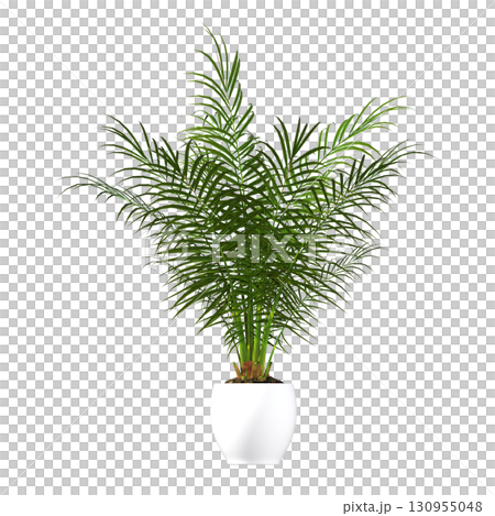 decorative flower in a pot isolate on a transparent background, 3D illustration, cg render 130955048