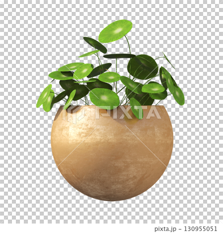 decorative flower in a pot isolate on a transparent background, 3D illustration, cg render 130955051