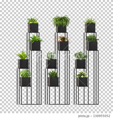 decorative flower in a pot isolate on a transparent background, 3D illustration, cg render 130955052