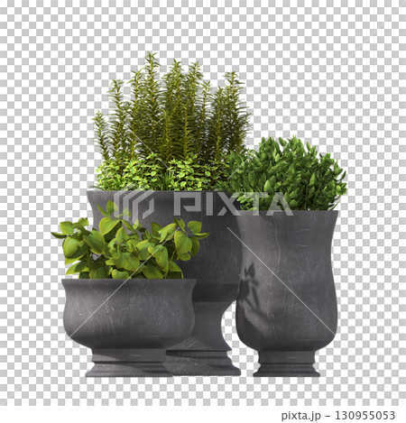 decorative flower in a pot isolate on a transparent background, 3D illustration, cg render 130955053