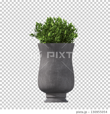 decorative flower in a pot isolate on a transparent background, 3D illustration, cg render 130955054