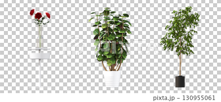 decorative flower in a pot isolate on a transparent background, 3D illustration, cg render 130955061