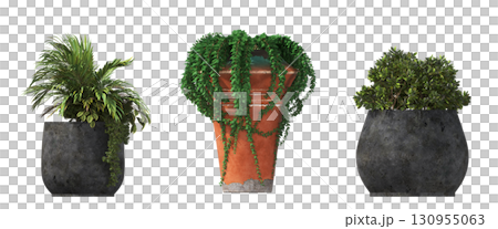 decorative flower in a pot isolate on a transparent background, 3D illustration, cg render 130955063
