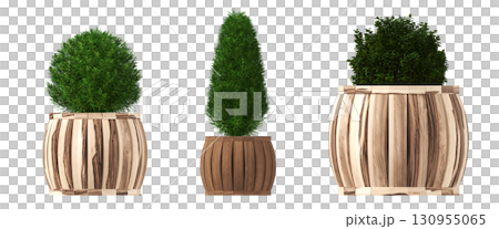 decorative flower in a pot isolate on a transparent background, 3D illustration, cg render decorative flower in a pot isolate on a transparent background, 3D illustration, cg render 130955065