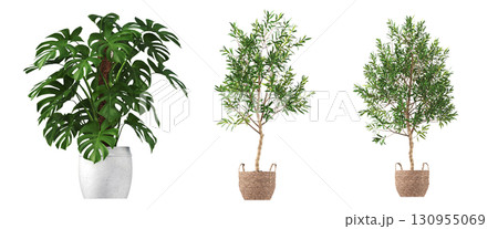 decorative flower in a pot isolate on a transparent background, 3D illustration, cg render decorative flower in a pot isolate on a transparent background, 3D illustration, cg render 130955069