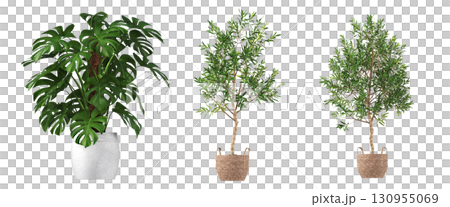 decorative flower in a pot isolate on a transparent background, 3D illustration, cg render decorative flower in a pot isolate on a transparent background, 3D illustration, cg render 130955069