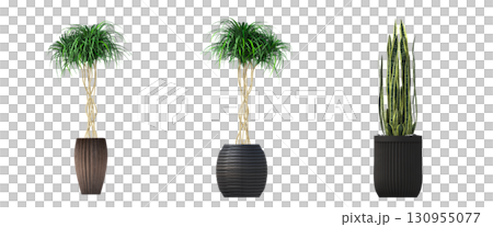 decorative flower in a pot isolate on a transparent background, 3D illustration, cg render 130955077