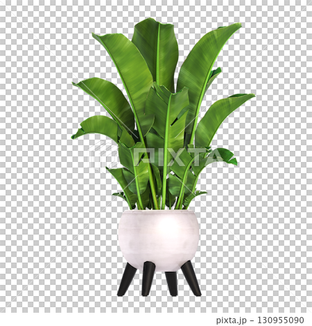 decorative flower in a pot isolate on a transparent background, 3D illustration, cg render 130955090