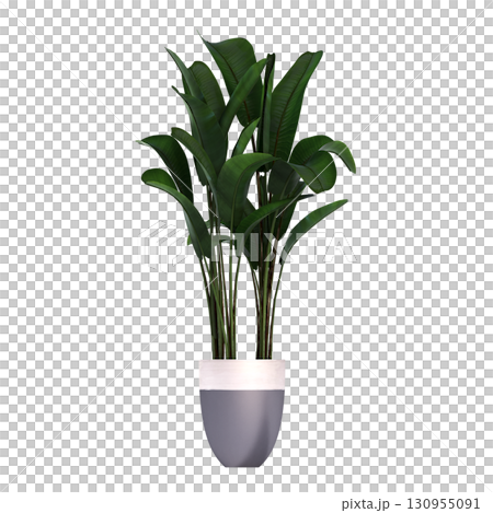 decorative flower in a pot isolate on a transparent background, 3D illustration, cg render 130955091