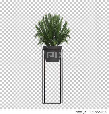 decorative flower in a pot isolate on a transparent background, 3D illustration, cg render 130955093