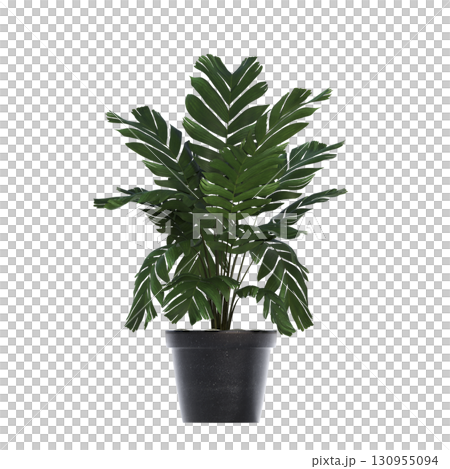 decorative flower in a pot isolate on a transparent background, 3D illustration, cg render 130955094