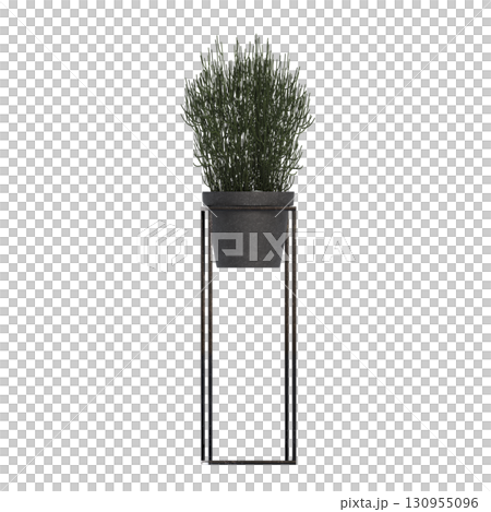 decorative flower in a pot isolate on a transparent background, 3D illustration, cg render decorative flower in a pot isolate on a transparent background, 3D illustration, cg render 130955096