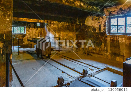 アウシュヴィッツ強制収容所 アウシュヴィッツ強制収容所 130956013