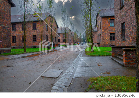 アウシュヴィッツ強制収容所 130956246