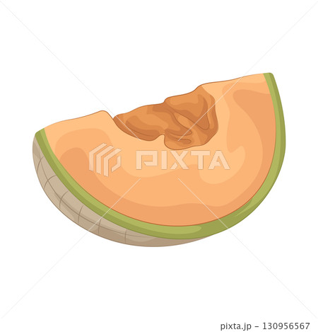 Illustration of cantaloupe Illustration of cantaloupe 130956567