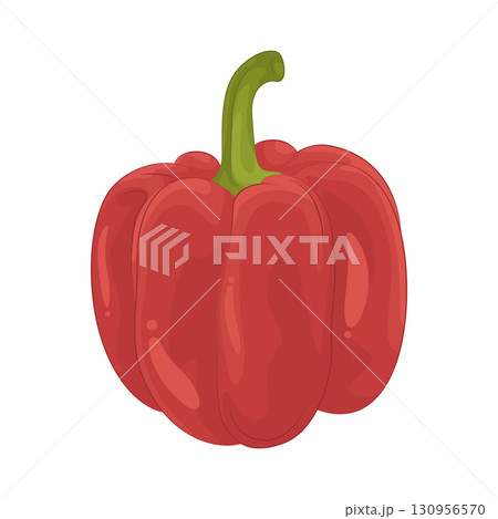 Illustration of bell pepper 130956570