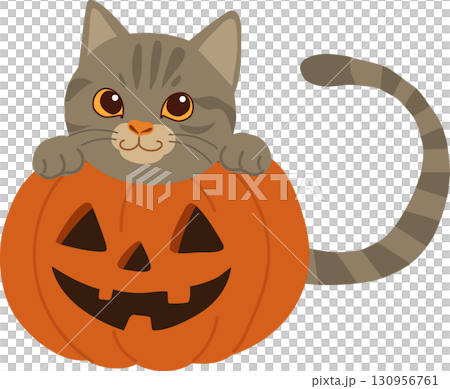 halloween cat with pumpkin cute kitten jack o lantern 130956761