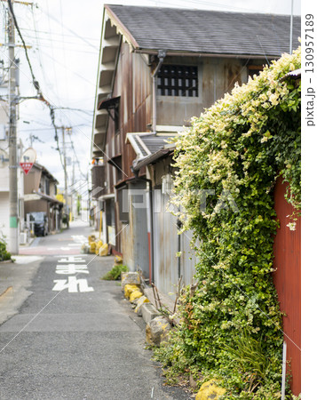 古い家が建ち並ぶ路地 130957189