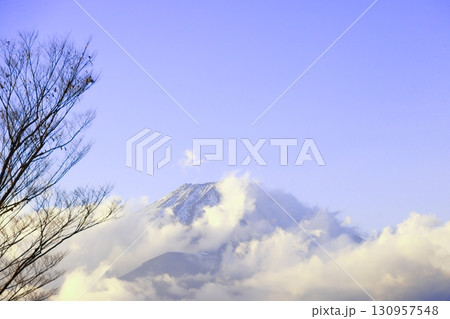 時之栖から見る雲に覆われた富士山 時之栖から見る雲に覆われた富士山 130957548