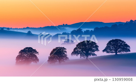 Landscape background Misty valley at dawn with silhouetted trees and colorful sky 130959008
