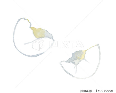 白い鶏卵の殻　卵料理の手描き水彩イラスト素材 130959996