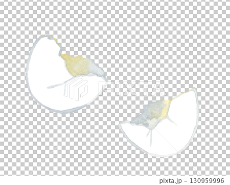 白い鶏卵の殻　卵料理の手描き水彩イラスト素材 130959996