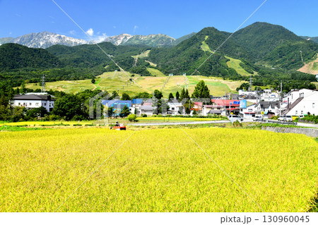 白馬つがいけマウンテンリゾート(栂池高原スキー場)周辺を望む(長野県小谷村)【2025.9】 130960045