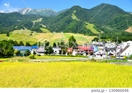 白馬つがいけマウンテンリゾート(栂池高原スキー場)周辺を望む(長野県小谷村)【2025.9】 130960046