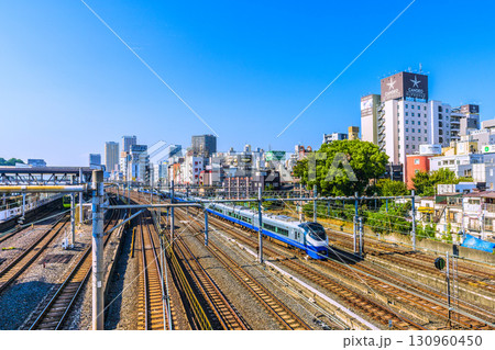 日本の東京都市景観 鶯谷駅前のホテル街などを望む。奥に元三島神社が見える＝17日 130960450
