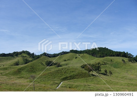 砥峰高原 130960491
