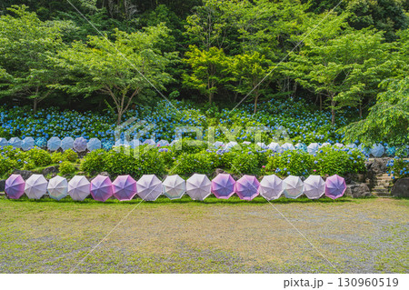 袋井市の法多山尊永寺の風景(静岡県) 130960519